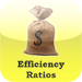 Efficiency Ratios Calculator for CPAs, Investment Bankers, Finance Pro